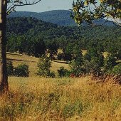 Rolling Hills - Rt. 668