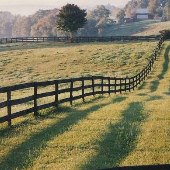 Timbercreek Farm Property