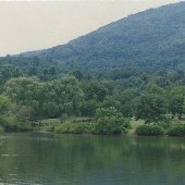 Mint Springs Park