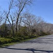 Wheat Valley/Overstreet Creek Scenic