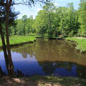 Fort Powhatan