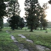 Hoye Farms