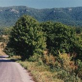 Country Roads - Lee County