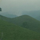 Scenics - Dickenson County