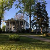 Southbrook Plantation