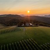 12 Ridges Vineyard