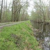 Washington Ditch Road