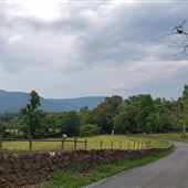 Ortman Rd at Dick Woods Rd