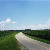 Horn Quarter Rd. (John N. Mills and Sons Farms)