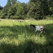 Ground Rush Farm