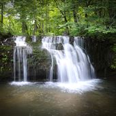 Jessee's Mill