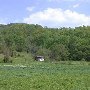 Village of Syria