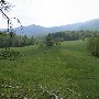 Village of Syria