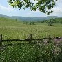 Falling Springs