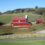DeLeonardis Farm