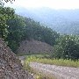 Forest Route 384