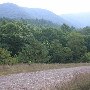 Forest Route 384