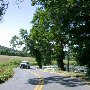 Scenic Roadshots Ivy