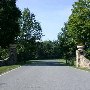 Scenic Roadshots Ivy