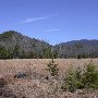 Laura's Camp-Green Valley