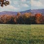 Potts Creek Valley