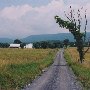 Alonzaville
