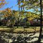 Ginter Park Neighborhood