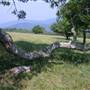 Bucks Elbow Mountain