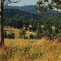 Rolling Hills - Rt. 668
