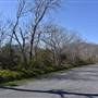 Wheat Valley/Overstreet Creek Scenic
