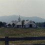 Burning Daylight Farms