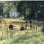 Port Republic Cemetery