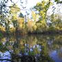 Reedy Creek Trails