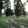 Hoye Farms