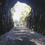Afton Mountain Tunnel - Crozet Tunnel