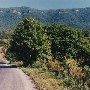 Country Roads - Lee County
