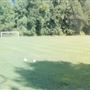 Davis Soccer Field