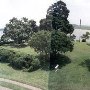 Chelsea Plantation