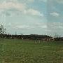 Coalfield Road Soccer Complex