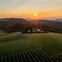 12 Ridges Vineyard