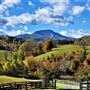 Cardinal Springs Farm