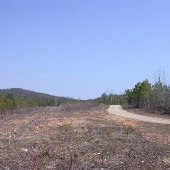 Black Fox Hills Airstrip