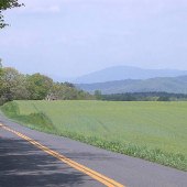Rochelle Landscapes