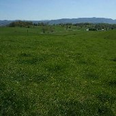 Washington Co