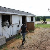 Edgefield Farm
