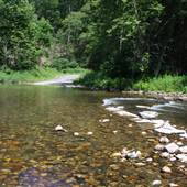 Clover Creek
