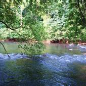 Fish Dam