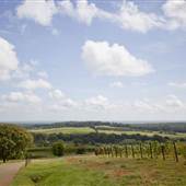 Kluge Winery