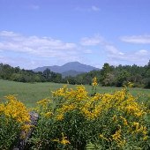 Route 673 Scenics