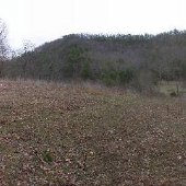 Green Valley Scenics